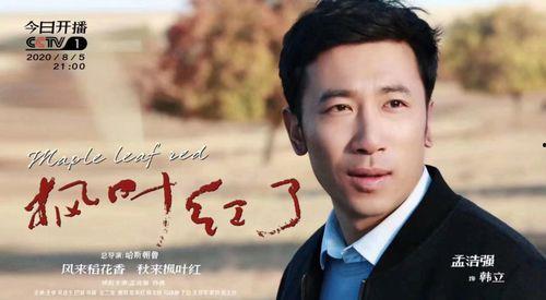 枫叶红了全集在线播放,浪漫秋色中的情感之旅